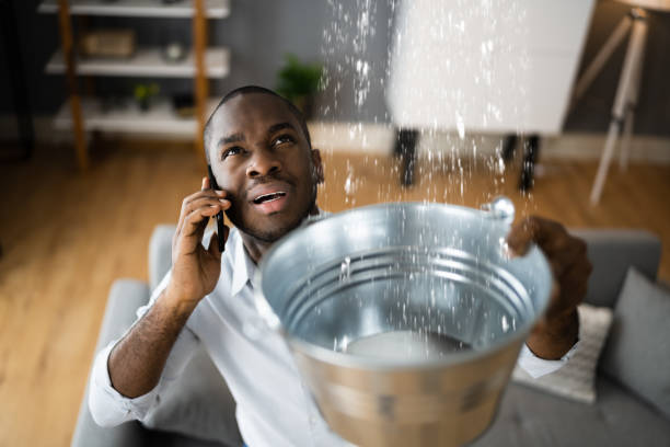 Best Sewage cleanup and water damage restoration  in Oak Harbor, WA