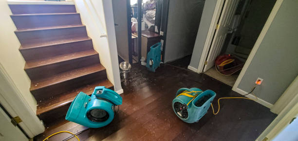 Best Water damage cleanup near me  in Oak Harbor, WA