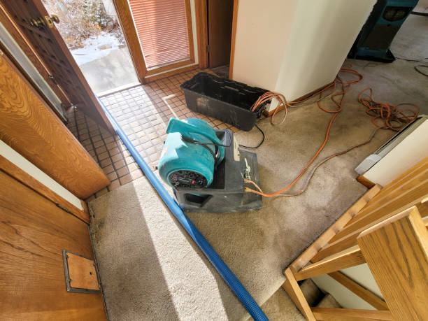 Best 24/7 water damage repair  in Oak Harbor, WA