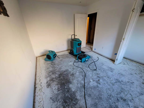 Best Mold removal after water damage  in Oak Harbor, WA