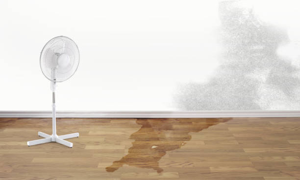 Best Water damage restoration near me  in Oak Harbor, WA