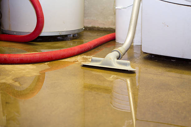 Best Flood restoration services  in Oak Harbor, WA