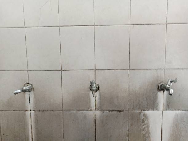 Best Local water damage restoration  in Oak Harbor, WA