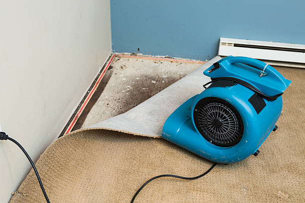  Oak Harbor, WA Water damage restoration Pros
